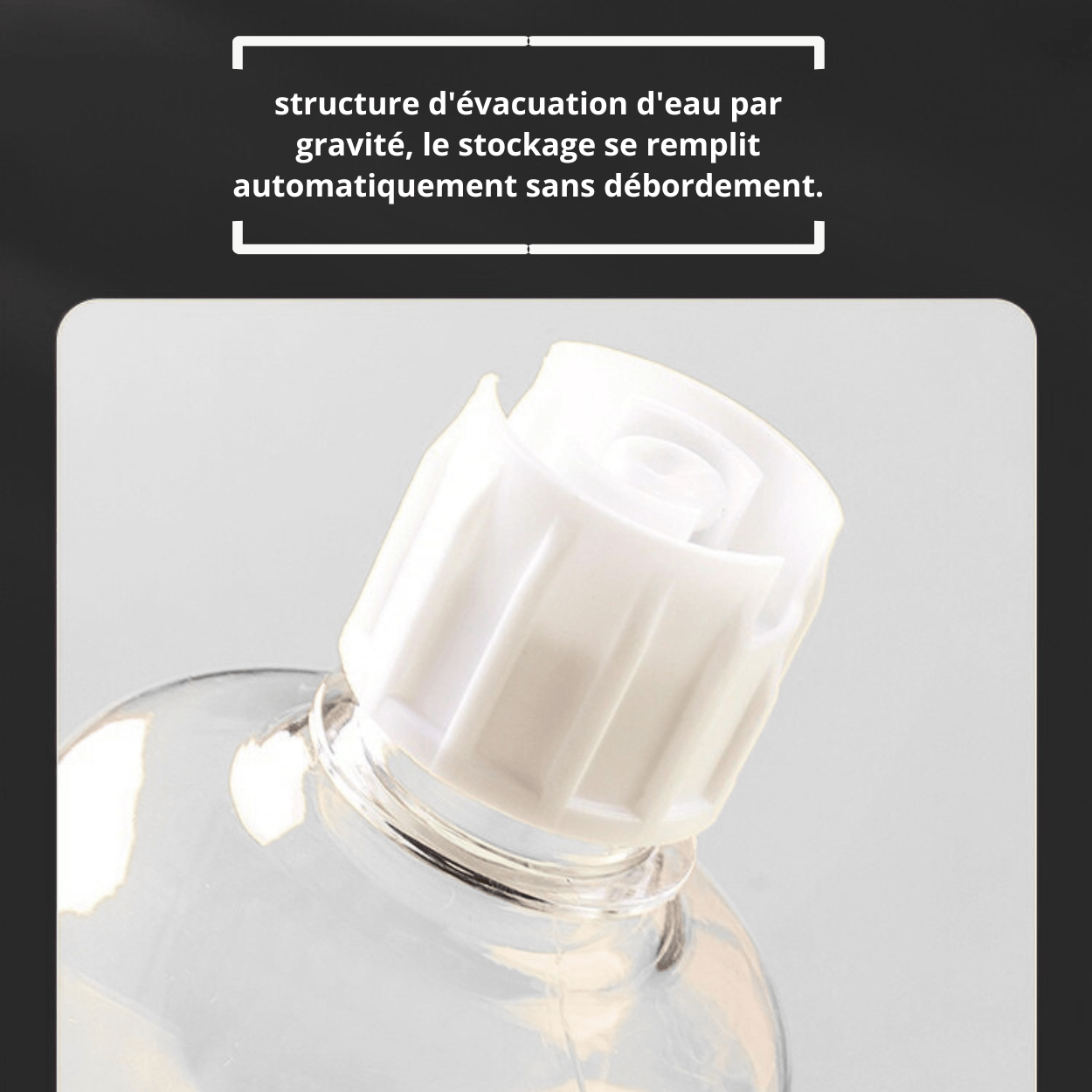 Gamelle pour chat avec distributeur eau chat automatique siphon - Buffet-Cat™