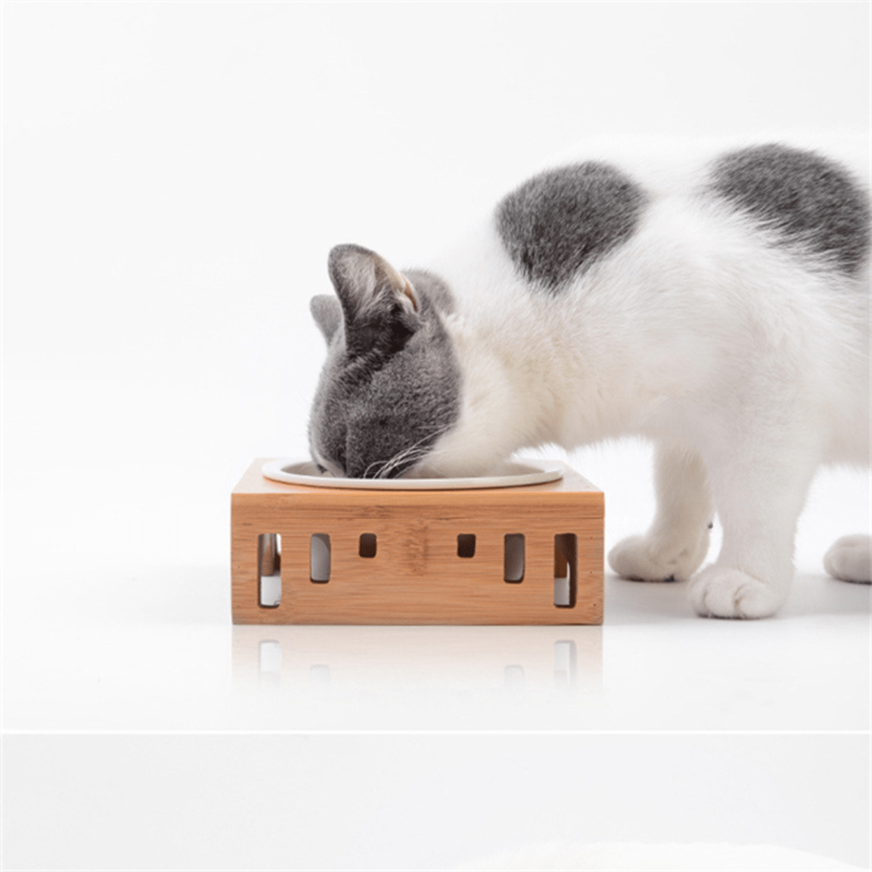 Félin gris blanc qui mange dans gamelle pour chat simple bol céramique support bois bambou - Céraminox-Cat™