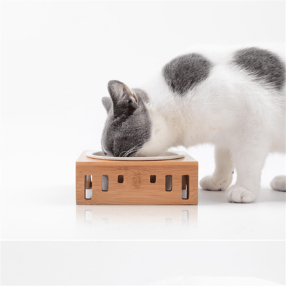 Félin gris blanc qui mange dans gamelle pour chat simple bol céramique support bois bambou - Céraminox-Cat™