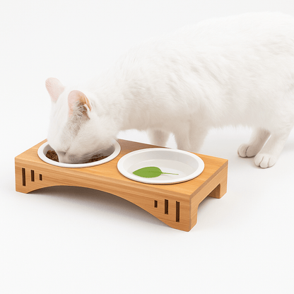 Chat blanc qui mange dans gamelle pour chat double bol céramique support surélevé - Céraminox-Cat™