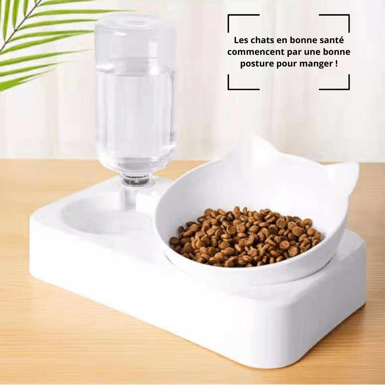 Gamelle pour chat eau et croquettes avec distributeur eau chat posé sur sol - Croc-Water™
