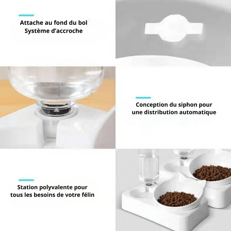 Gamelle pour chat avec attache rapide bol distributeur eau chat polyvalente - Croc-Water™