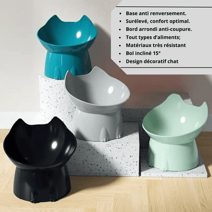 Gamelle pour chat inclinée anti renversement par 4 noire verte bleue et grises explications - Dîner-Levé™