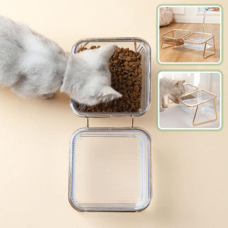 Gamelle pour chat double vue dessus chaton mange croquettes salon - Golden-Cat™