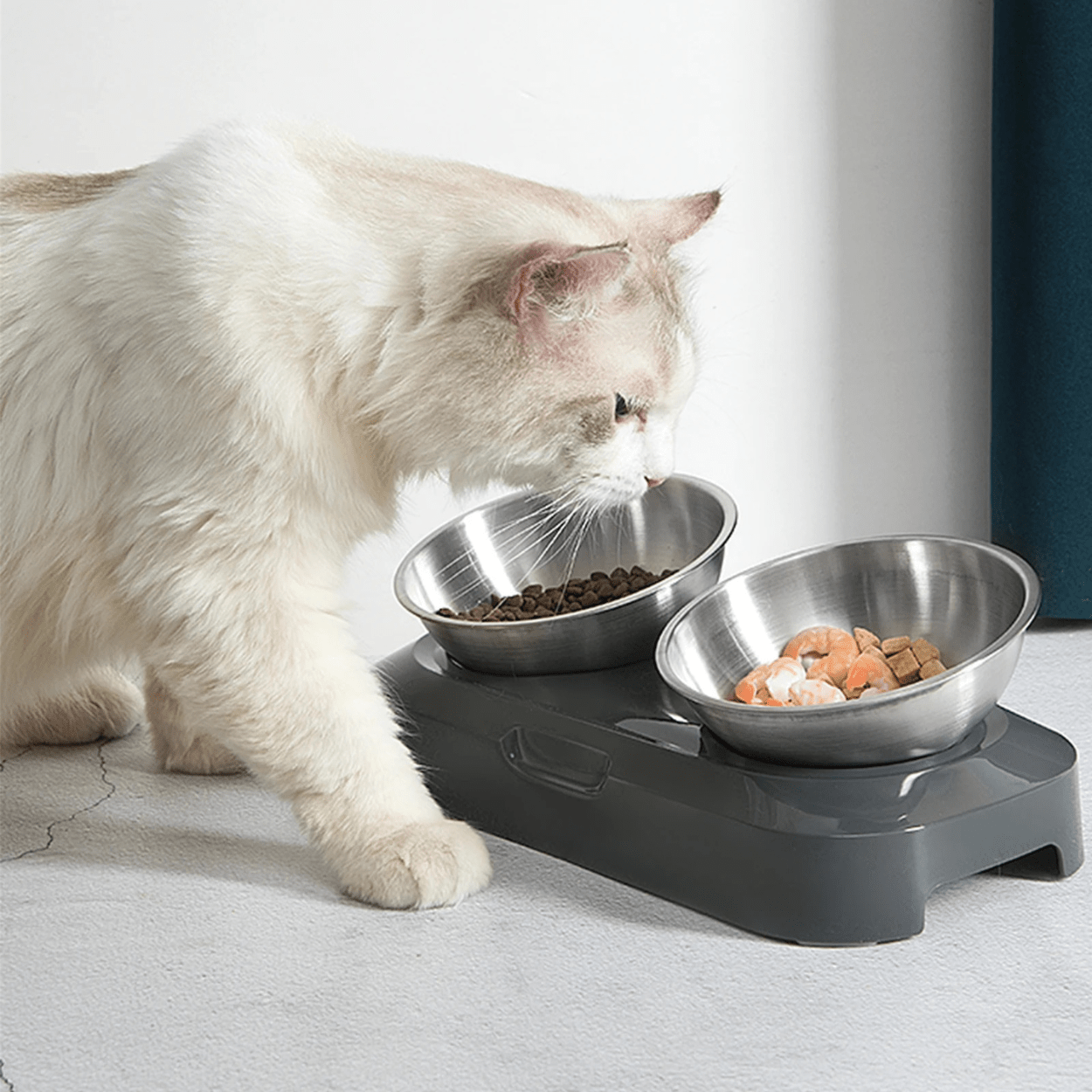 Gamelle pour chat réglable double bol inox base surélevée gris et chat blanc mange repas - Goûter-Griffe™