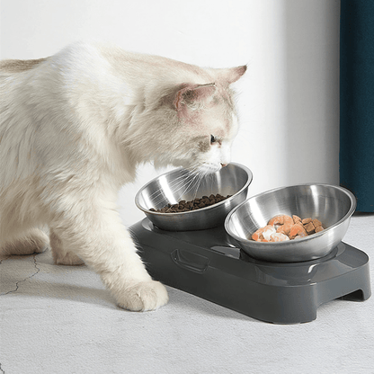 Gamelle pour chat réglable double bol inox base surélevée gris et chat blanc mange repas - Goûter-Griffe™