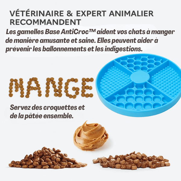 Gamelles anti glouton chat – modèles recommandés par les vétérinaires