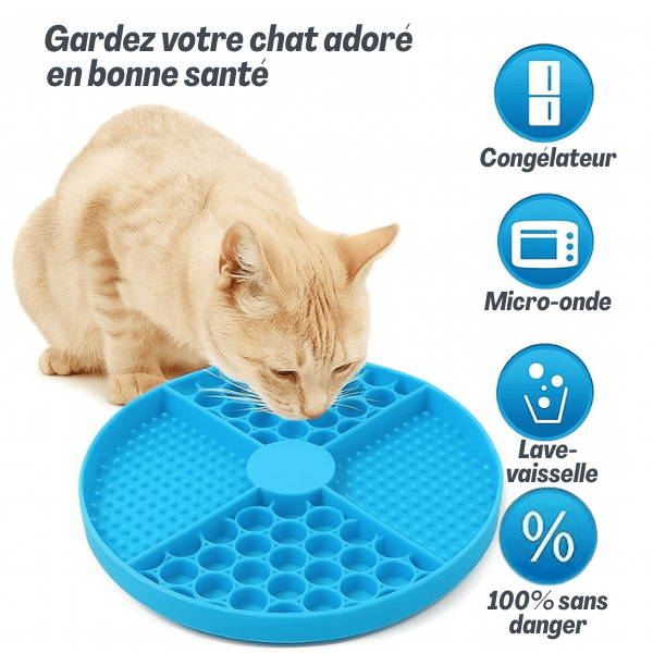 Gamelles anti glouton chat – bienfaits et bonne santé Base AntiCroc™ antidérapante