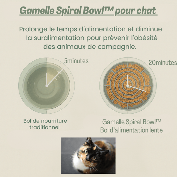 Gamelles anti glouton chat – modèle puzzle spiral pour une meilleure digestion