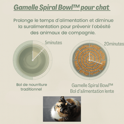 Gamelles anti glouton chat – modèle puzzle spiral pour une meilleure digestion