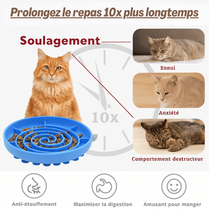 Gamelles anti glouton chat – schéma alimentation lente et hygiène bucco-dentaire