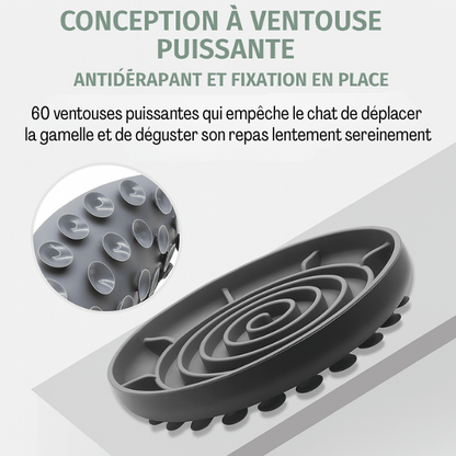 Gamelles anti glouton chat Spiral Bowl™ grises – pack ventouses incluses