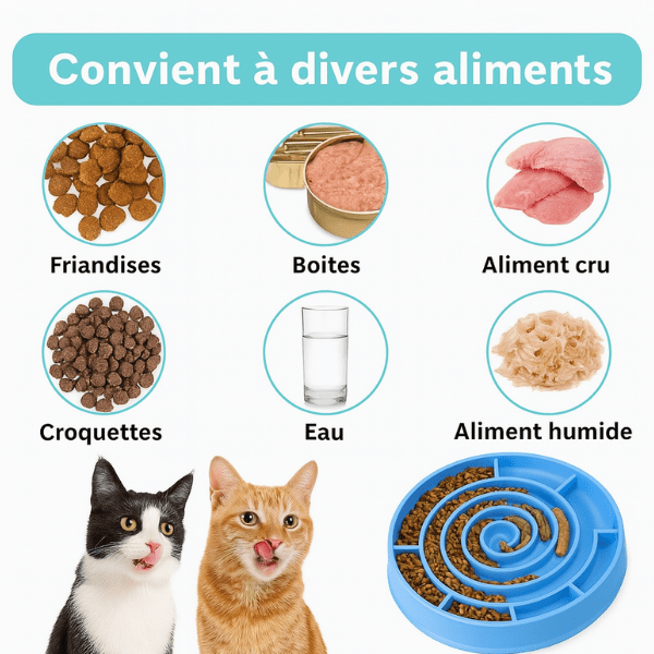 Gamelles anti glouton chat spiral silicone convient divers aliments - Spiral Bowl™