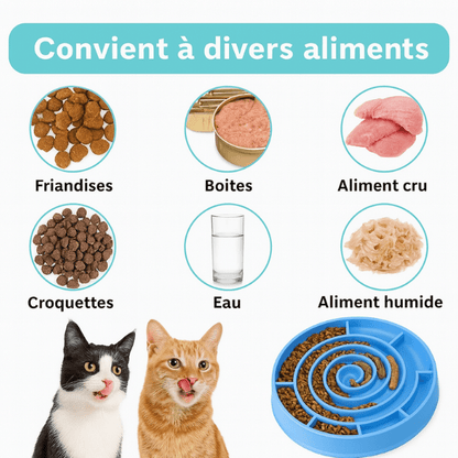 Gamelles anti glouton chat spiral silicone convient divers aliments - Spiral Bowl™