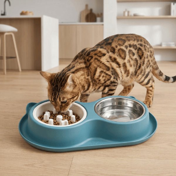 Chat bengal mange dans gamelles anti glouton pour réduire gloutonnerie et régurgitations