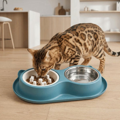 Chat bengal mange dans gamelles anti glouton pour réduire gloutonnerie et régurgitations