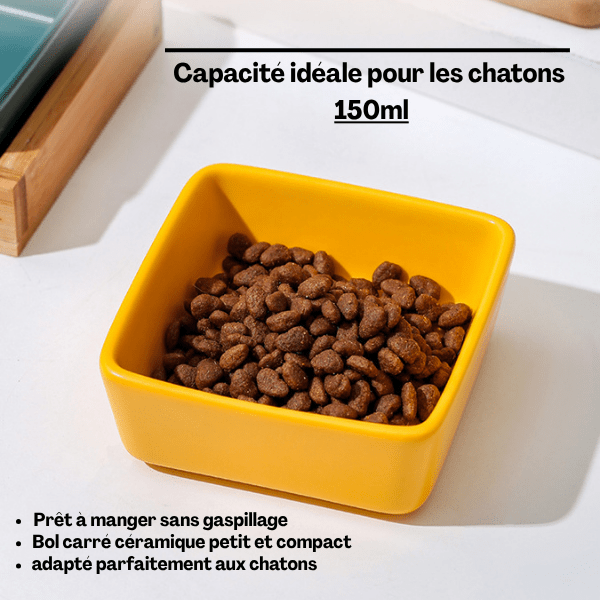 Gamelles chaton céramique carré jaune croquettes capacité idéale 150 mL - Croc&Roll™