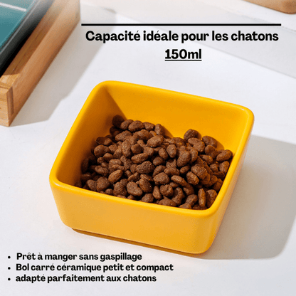 Gamelles chaton céramique carré jaune croquettes capacité idéale 150 mL - Croc&Roll™