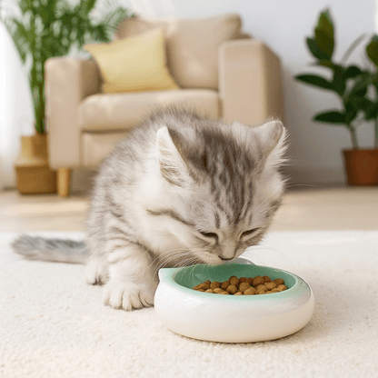 Gamelles chaton design ronde tête chat céramique ramequin vert avec repas croquettes salon - MiniCroc™