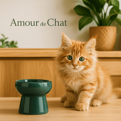 Gamelles chaton ceramique vert foncée surélevée avec chaton roux maine coon cuisine - Mini DéliCat™