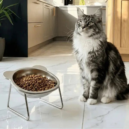Gamelles pour chat inox surélevée pour maine coon avec croquettes repas Nutrix™