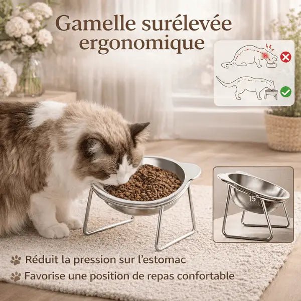 Gamelles pour chat surélevée inox meilleure position repas confort digestif Nutrix™