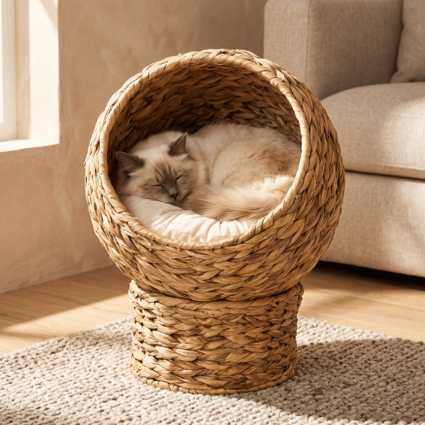 Maison pour chat intérieur créant un cocon rassurant pour dormir paisiblement au salon