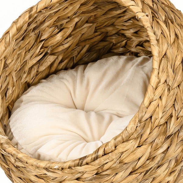Maison pour chat intérieur avec coussin moelleux dans cocon naturel tressé