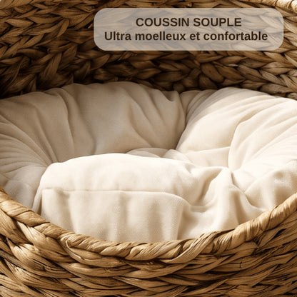 Maison pour chat intérieur équipée d'un coussin souple épais et moelleux