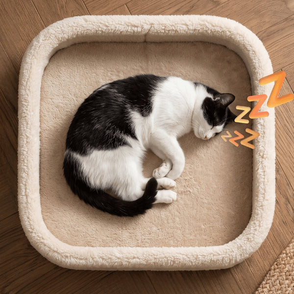 Maisonnette chats avec couchage supérieur moelleux idéal pour un sommeil profond confortable