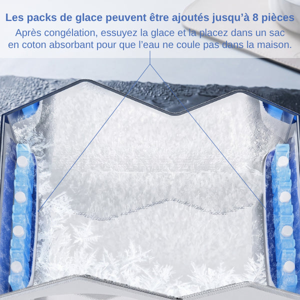 Maisonnettes pour chats avec packs de glace assurant fraîcheur prolongée sans humidité