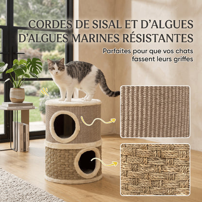 Maisons pour chat avec griffoir naturel résistant pour satisfaire l'instinct de griffade quotidien