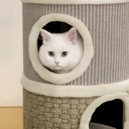 Maisons pour chat avec ouverture large offrant sécurité confort et observation