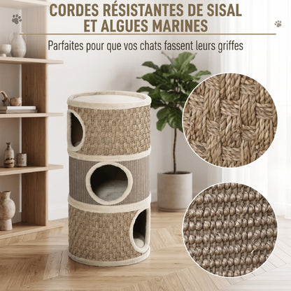 Maisons pour chat avec griffoir en sisal naturel et algues marines résistantes pour protéger vos meubles