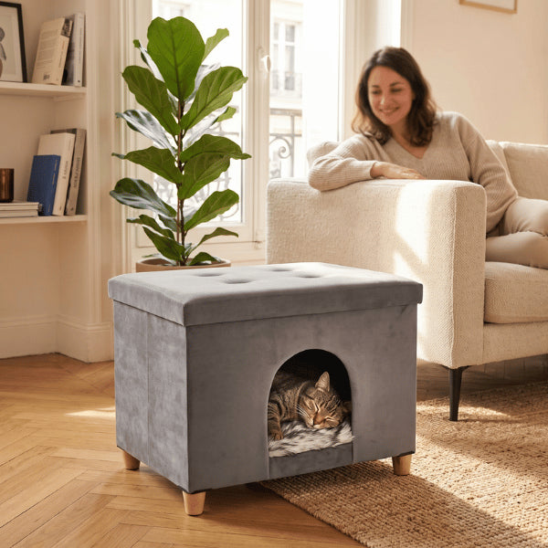 Niche à chat offrant refuge chaleureux sommeil paisible et confort toute l'année