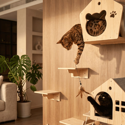 Niche chat interieur intégrée à un parcours mural avec plateformes d'escalade