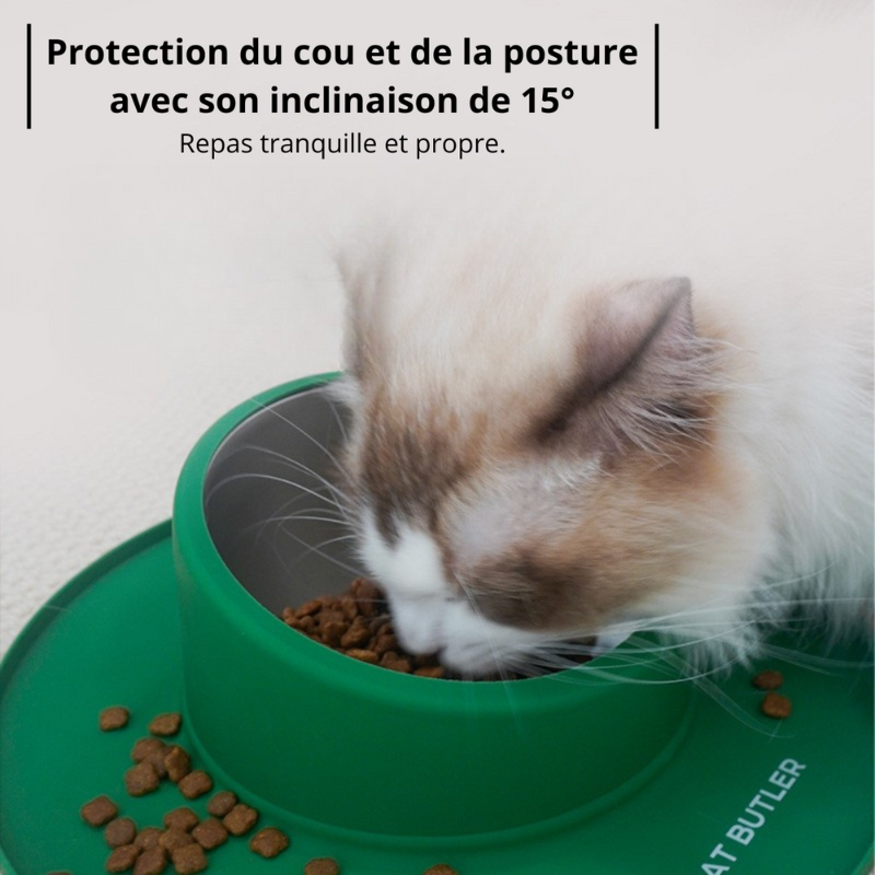 Gamelle chat anti débordement inclinée 15° protection cou et félin blanc mange - Bowl Clean™