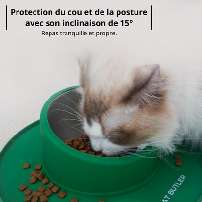 Gamelle chat anti débordement inclinée 15° protection cou et félin blanc mange - Bowl Clean™