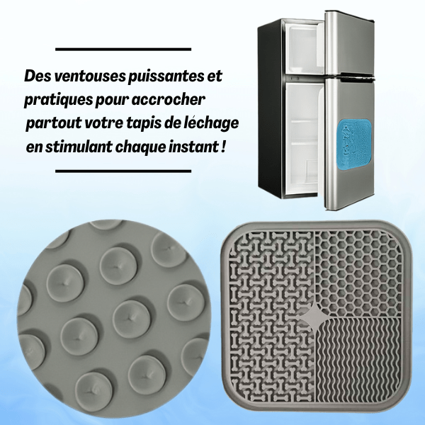 Tapis de lechage stable multi ventouses puissantes PurriLick™